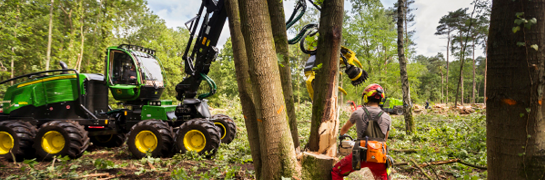 Werken in het bos