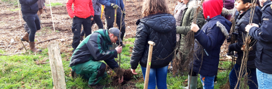 Kinderen planten bomen