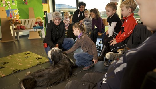 Sfeerbeeld Goede Hondenbaasjesschoolproject