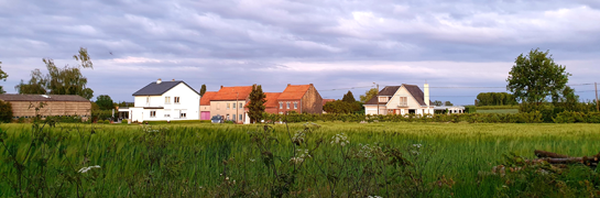 Huizen in de verte