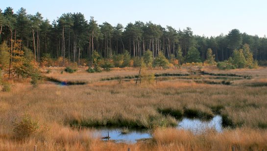 Sfeerbeeld stiltegebied Gerhagen - Tessenderlo