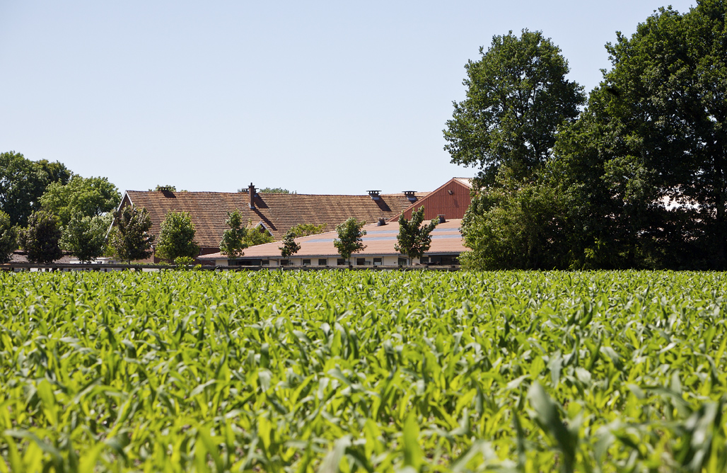Landbouwbedrijf in harmonie met de omgeving