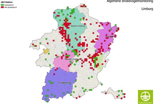 Kaart van Limburg met de ABV-hokken (groen = geadopteerd; rood = niet geadopteerd).